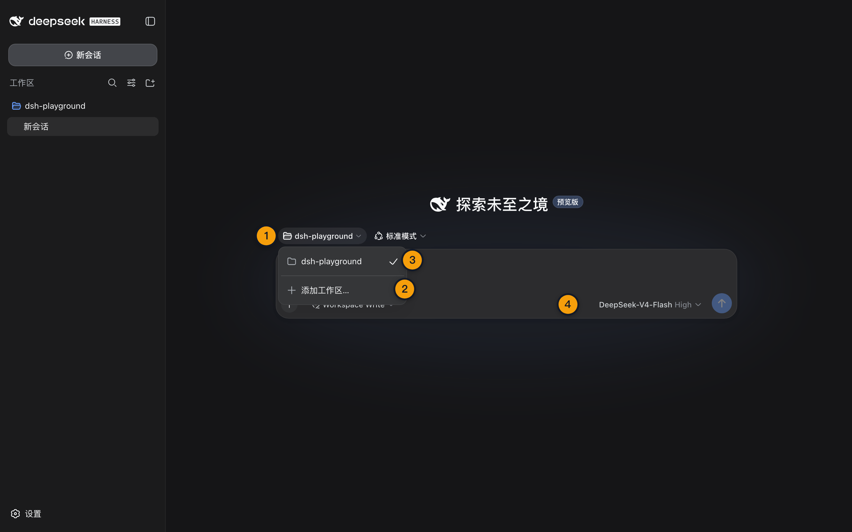 Web UI 中添加并选中 dsh-playground 工作区,会话输入框随之解锁